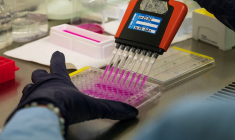 ( AFP / PATRICK HERTZOG )