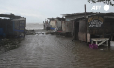 Ouragan Melissa: des arbres déracinés, des vents violents à St. Catherine