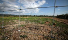 Un site identifié comme ayant abrité des tombes de harkis, près du Mémorial du camp de Rivesaltes, le 28 avril 2025 dans les Pyrénées-Orientales ( AFP / Valentine CHAPUIS )