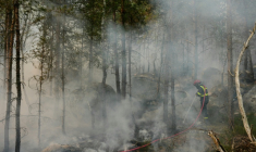 Un pompier lutte contre un incendie dans la forêt de Fontainebleau, à Noisy-sur-École, le 14 juillet 2026 en Seine-et-Marne ( AFP / Dimitar DILKOFF )