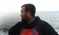 À la "chasse" à la sardine au large de la pointe bretonne