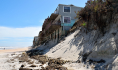 (Crédits photo : PublicDomainPictures.net - Paul Brennan )