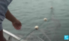 Brésil : les eaux polluées de la baie de Guanabara, loin du cliché touristique