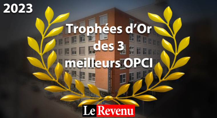 La sélection du Revenu des meilleurs OPCI. (© DR)