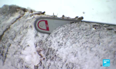 À la découverte du Jura, un territoire sauvage au patrimoine bien gardé