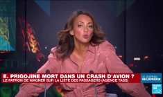 Les BRICS s'accordent sur un élargissement du bloc