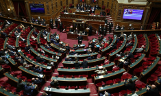 ( AFP / THOMAS SAMSON )