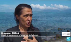 Les algues, une filière prometteuse pour la Polynésie