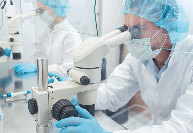 Crédit : Adobe Stock