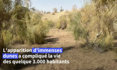 Au Turkménistan, une difficile bataille contre le sable