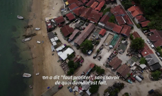 Mégafeu en Gironde: les cabanes ostréicoles de L'Herbe rouvrent