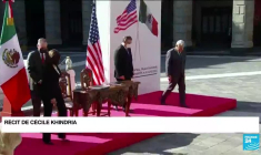 Kamala Harris au Mexique : la vice-présidente veut s'attaquer "aux causes de l'immigration"