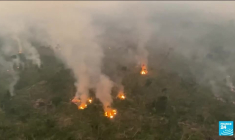 Brésil : pire mois d'août en 12 ans pour les incendies en Amazonie