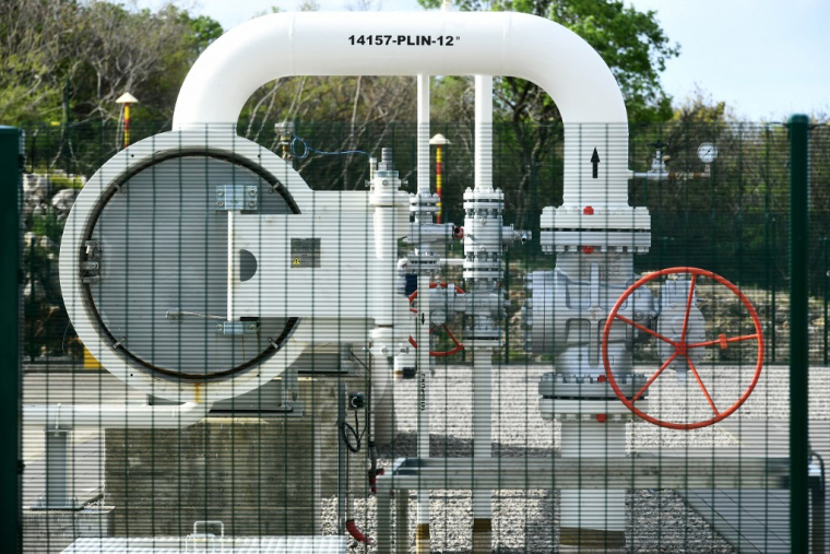 ( AFP / DENIS LOVROVIC )