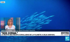 Pascale Joannot : "Chacun d’entre nous doit se sentir responsable des récifs coralliens"