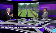 Vers une chimie plus verte ? Imiter la nature pour mieux la préserver