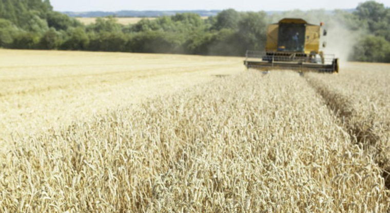 Le rendement de Terres Invest pourrait atteindre 3 à 4% par an.(© DR)