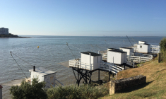 Ces villes sont majoritairement situées sur le littoral atlantique, comme Bayonne, Rochefort ou Royan (Crédits photo :  - Hervé Chevillot )