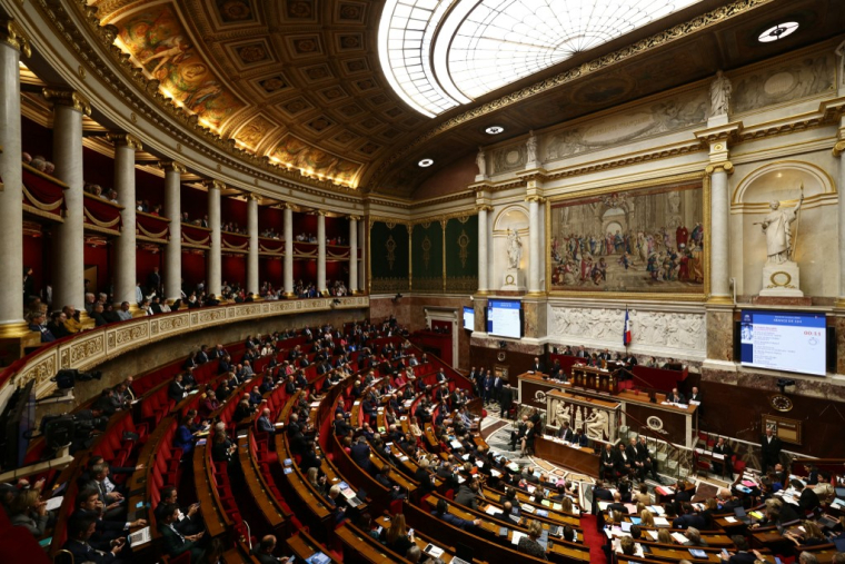 ( AFP / THOMAS SAMSON )