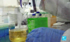 De l'urine humaine comme engrais