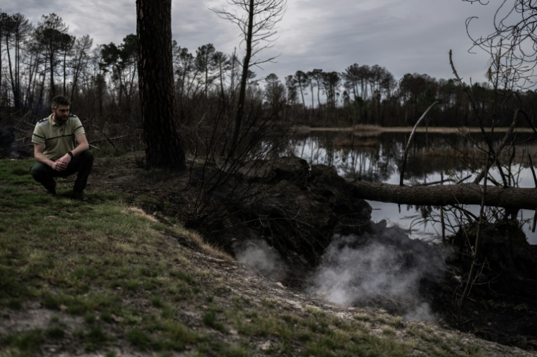 Un agent de l'Office national des forêts examine le 21 mars 2023 près d'Hostens, en Gironde, l'endroit d'où émerge de la fumée, près d'une ancienne veine de lignite où le feu couve toujours dans le sous-sol depuis le gigantesque incendie de l'été 2022 ( AFP / Philippe LOPEZ )