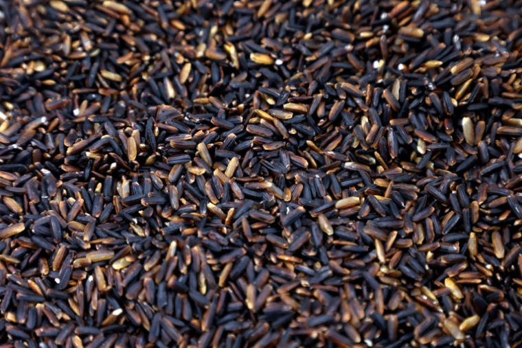 Du riz noir cultivé à l'Institut national de recherche agricole (INIA) à Chillan, dans la région de Ñuble, au Chili, le 9 avril 2025 ( AFP / RAUL BRAVO )