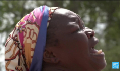 Filière du cacao : Le Ghana traverse une crise de production, les prix explosent