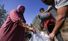 Des Palestiniens récoltent des olives en Cisjordanie occupée dans le village de Turmus Ayya, près de Ramallah, le 20 octobre 2025 ( AFP / Hazem BADER )