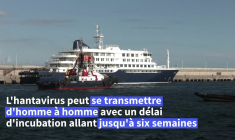 Canaries : les passagers débarqués du MV Hondius en route vers chez eux
