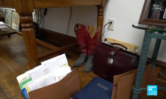 Le Texas, poids lourd méconnu de l'énergie éolienne