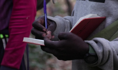 Au Sénégal: étudier les chimpanzés, loin du danger des mines d'or