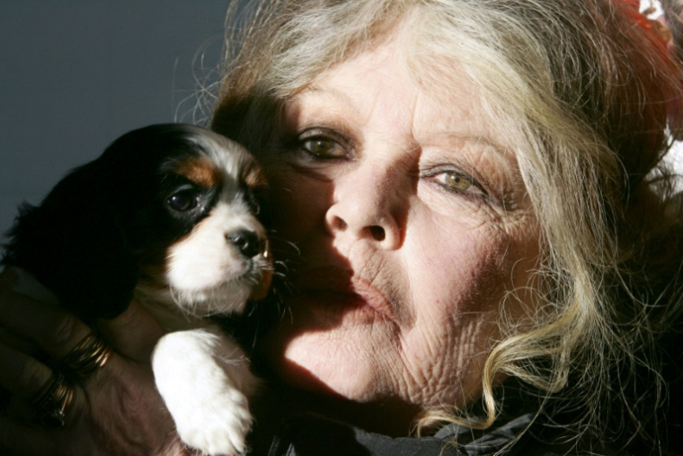 Brigitte Bardot tient l'un de ses chiens, le 28 décembre 2005 à Nice  ( AFP / Valery HACHE )
