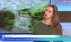 Ce business juteux du cannabis de bien-être...
