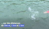 Une course de nage en eau libre dans la Seine, un an après les JO de Paris