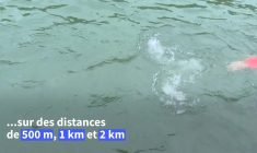 Une course de nage en eau libre dans la Seine, un an après les JO de Paris