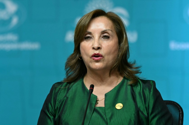 La présidente du Pérou, Dina Boluarte, au forum de la Coopération économique Asie-Pacifique (APEC) à Lima, le 16 novembre 2024. ( AFP / Luis ACOSTA )