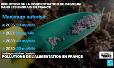 Santé: les diverses pollutions de l'alimentation en France