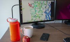 ( GETTY IMAGES NORTH AMERICA / DAVID RYDER )