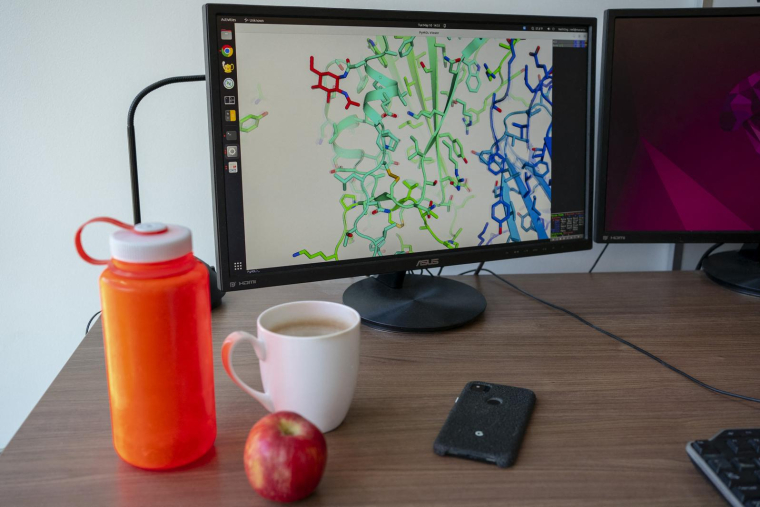 ( GETTY IMAGES NORTH AMERICA / DAVID RYDER )