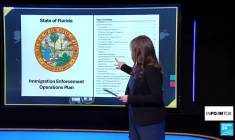 "Alligator Alcatraz" en Floride : des incinérateurs dans le centre de détention pour migrants ?