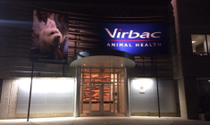 virbac 1 (crédit photo : Flickr / Musewebsite )