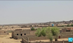 Qui sont les jihadistes du JNIM et les rebelles touareg du FLA, derrière les attaques au Mali ?