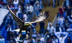 La Lazio vire son exhibitionniste de fauconnier