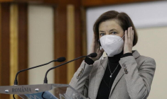 PARLY SE REND AU NIGER POUR DISCUTER DE L'ÉVOLUTION DE BARKHANE