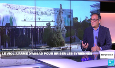 Emmanuel Daoud : les viols des Syriennes dans les prisons d'Assad "sont des crimes imprescriptibles"