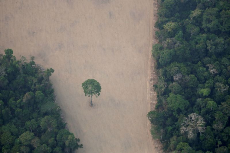BRÉSIL: HUIT PAYS EUROPÉENS DEMANDENT DES MESURES CONTRE LA DÉFORESTATION EN AMAZONIE