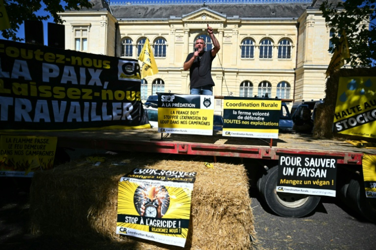 Le dirigeant de la Coordination rurale (CR), Bertrand Venteau, manifeste devant le tribunal d'Auch (Gers) le 3 septembre 2026 ( AFP / Lionel BONAVENTURE )