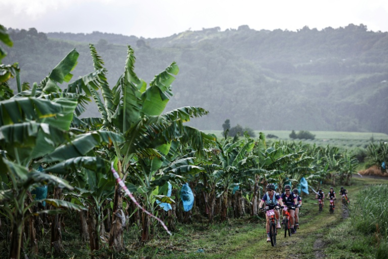Sonia Latapie (devant), souffrant d'insuffisance rénale et atteinte d'un cancer du sein, membre de l'équipe "Les Reines du cœur", participe à une course de VTT près du Château Depaz, aux abords de Saint-Pierre, le 27 novembre 2025, lors du "Raid des Alizés", en Martinique ( AFP / Anne-Christine POUJOULAT )