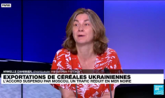 Exportations de céréales ukrainiennes : l'accord suspendu par Moscou, un trafic réduit en mer noire
