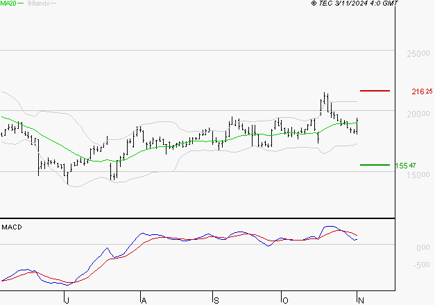 SARTORIUS STEDIM BIOTECH : L'indécision domine